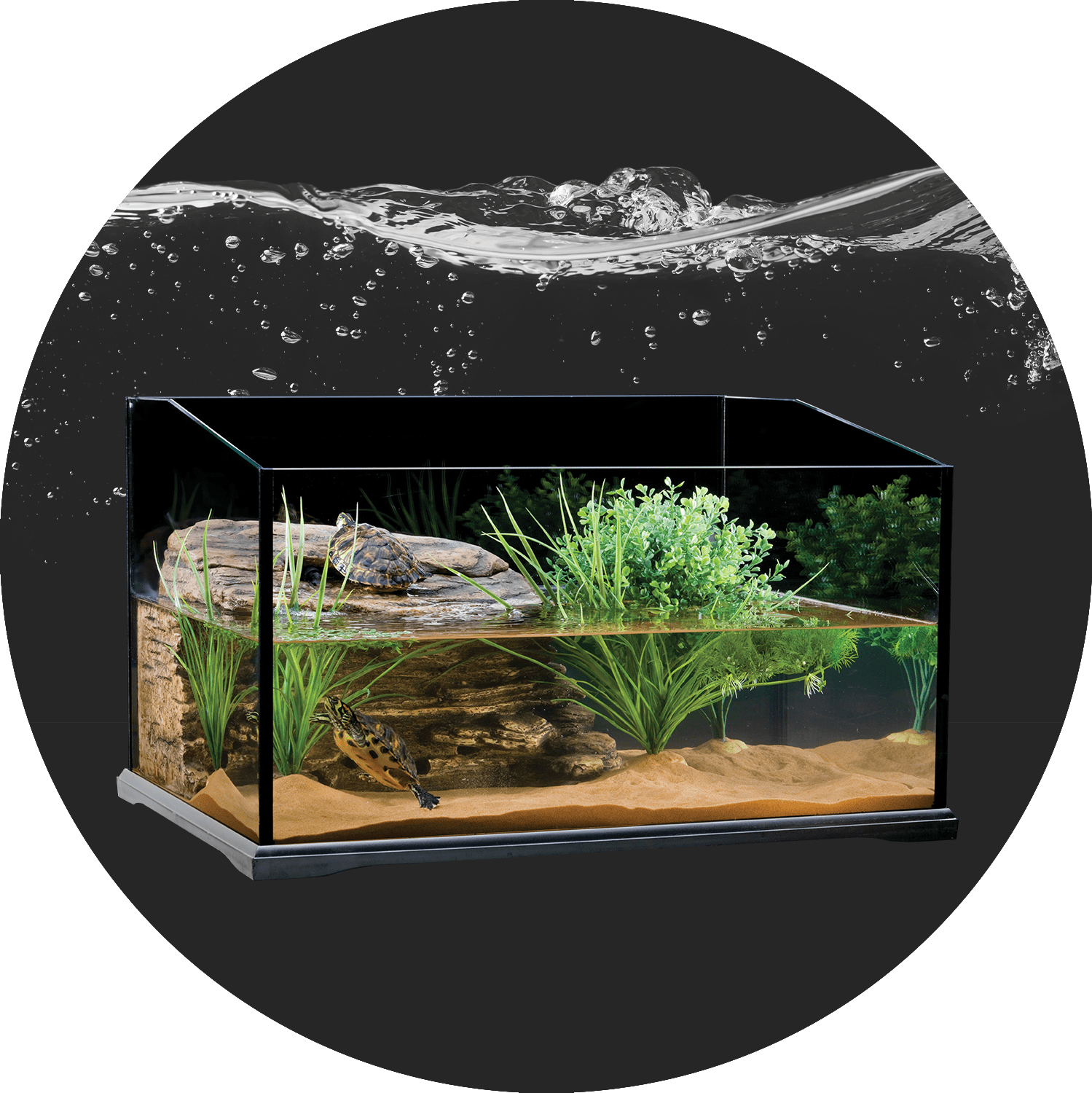 Turtle terrariums